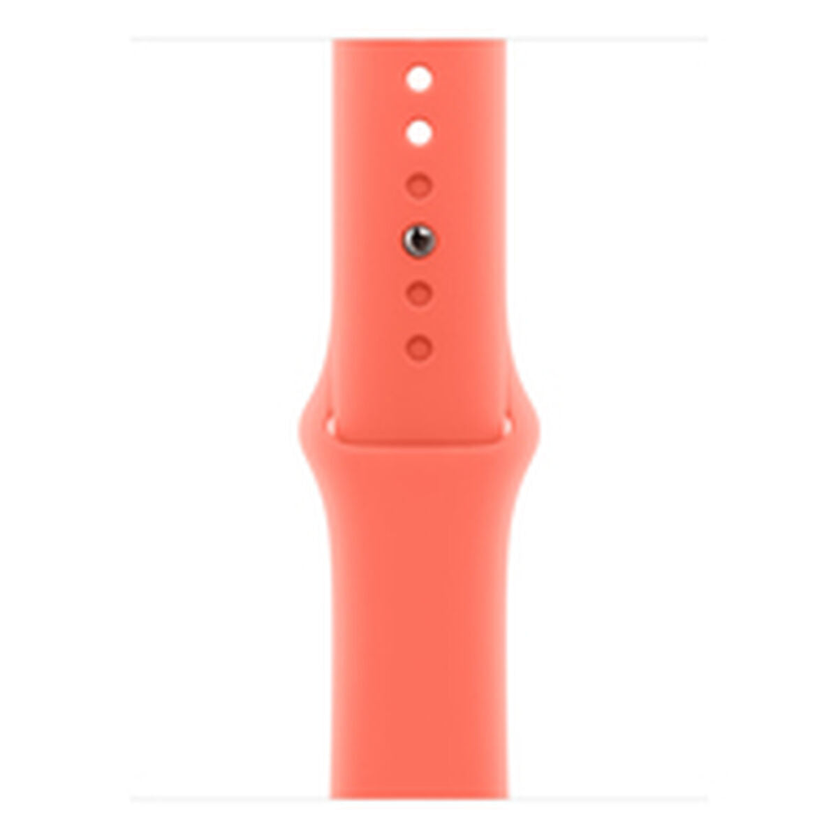 Watch Strap Apple MDRT4ZM/A M/L