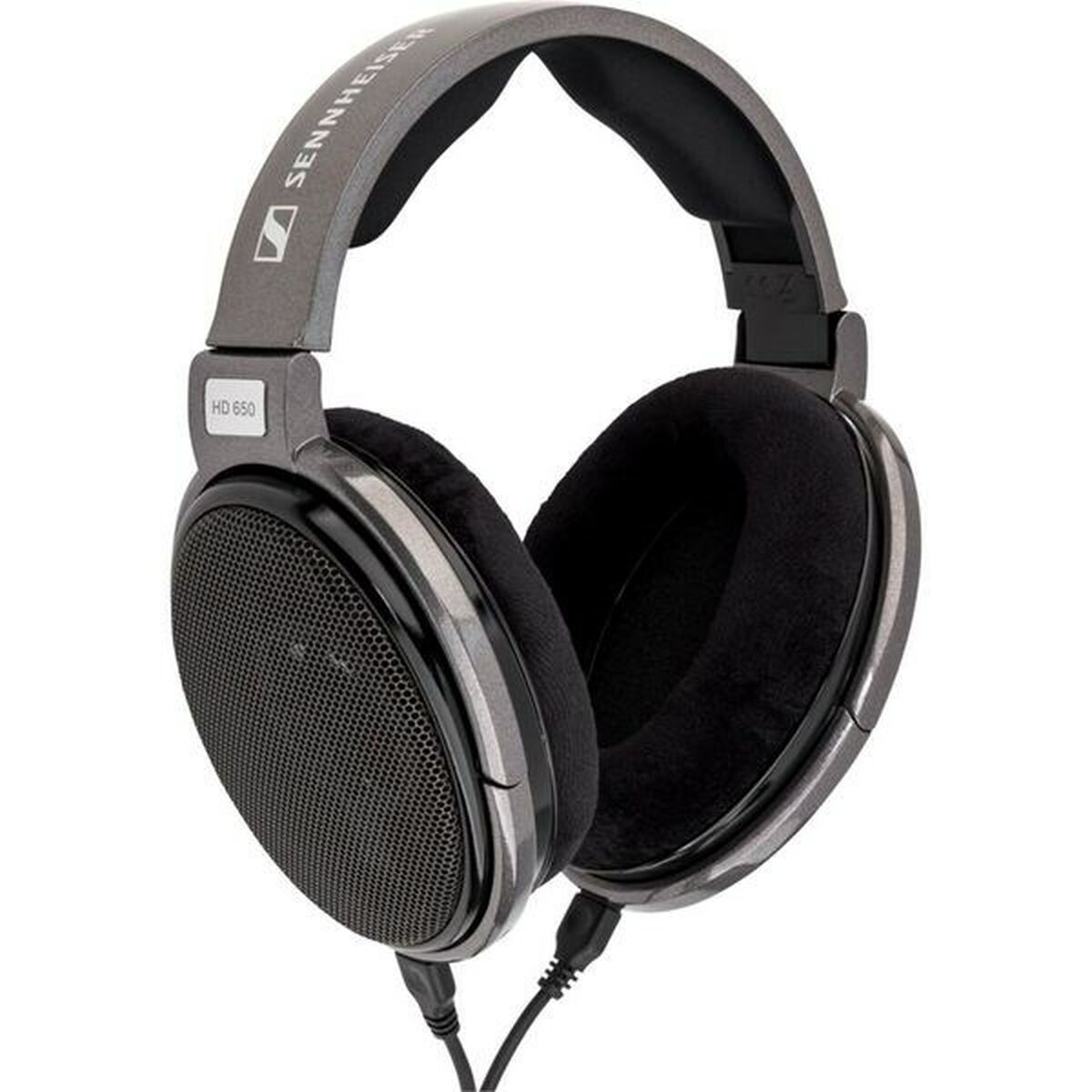 Headphones with Headband Sennheiser HD 650 Titanium