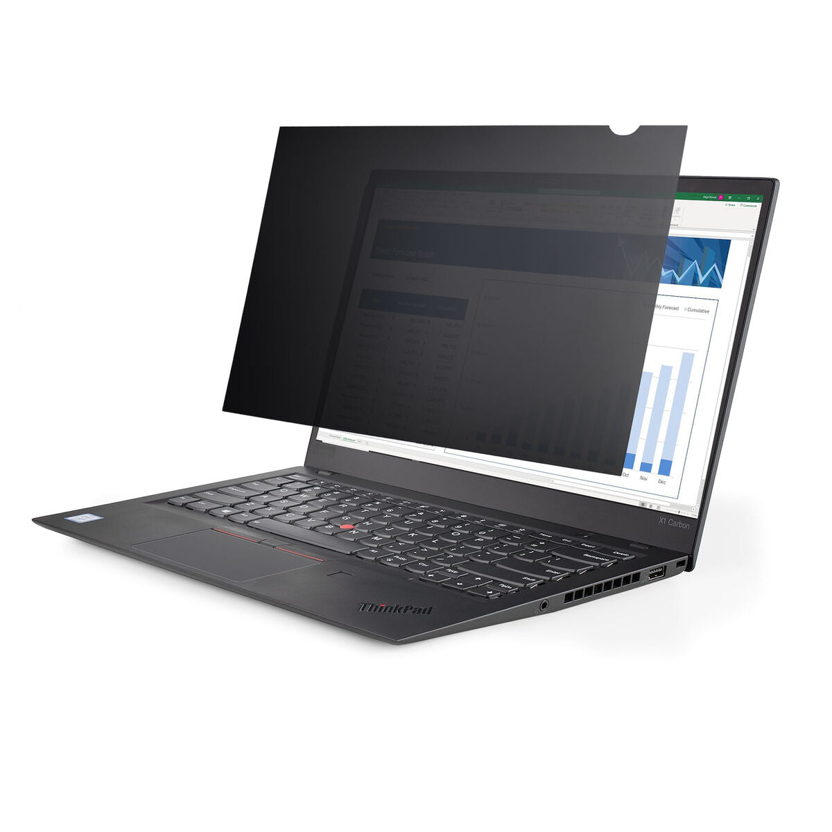 Privacy Filter for Monitor Startech 133L-PRIVACY-SCREEN