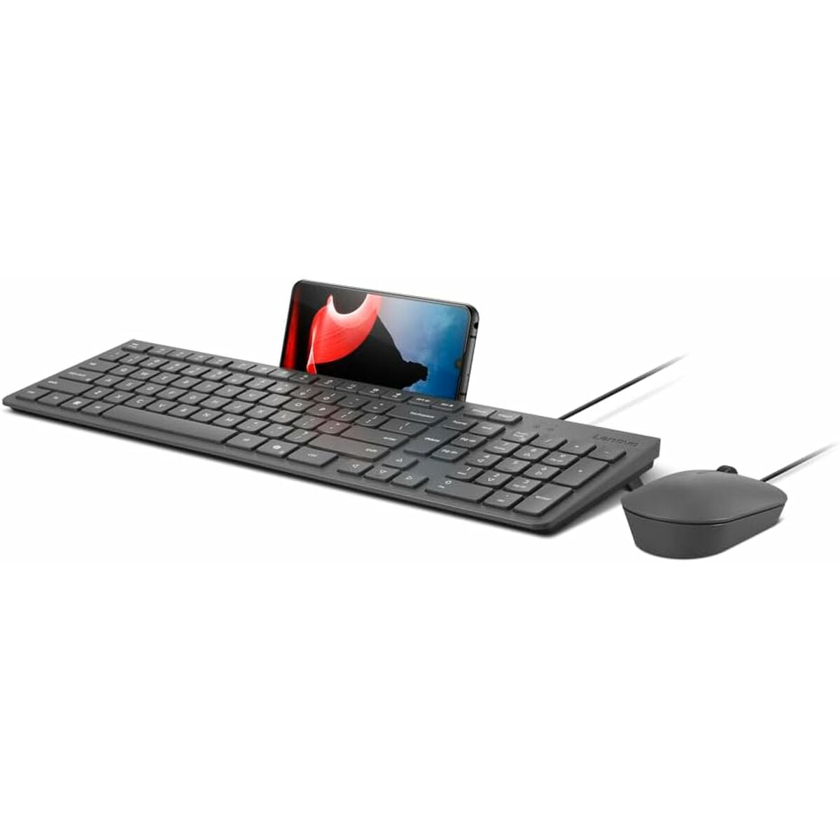 Keyboard and Mouse Lenovo GX31R09791