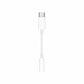 USB Adaptor Apple White