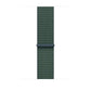 Watch Strap Apple MXL83ZM/A