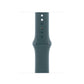 Watch Strap Apple MXL93ZM/A