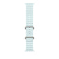 Watch Strap Apple MXTF3ZM/A