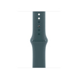 Watch Strap Apple MAX64ZM/A