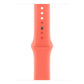 Watch Strap Apple MDT54ZM/A S/M