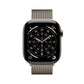 Smartwatch Apple MFCY4QL/A Titanium 46 mm