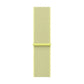 Watch Strap Apple MFFF4ZM/A