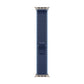 Watch Strap Apple MFT64ZM/A S/M 49 mm