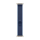 Watch Strap Apple MFT64ZM/A S/M 49 mm