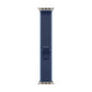 Watch Strap Apple MFT74ZM/A 49 mm M/L