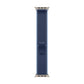 Watch Strap Apple MFT74ZM/A 49 mm M/L