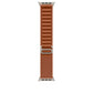 Watch Strap Apple MFTC4ZM/A M