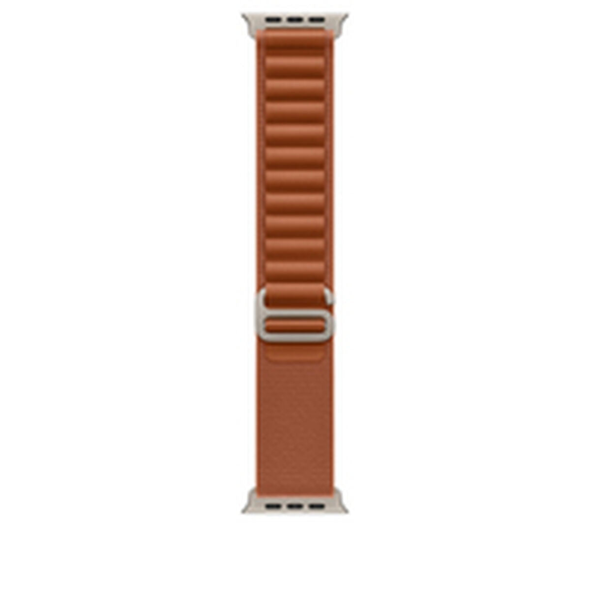 Watch Strap Apple MFTC4ZM/A M