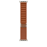 Watch Strap Apple MFTC4ZM/A M