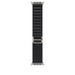 Watch Strap Apple MFTG4ZM/A L 49 mm