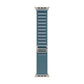 Watch Strap Apple MFTH4ZM/A S 49 mm