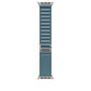 Watch Strap Apple MFTH4ZM/A S 49 mm