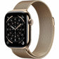 Smartwatch Apple Titanium