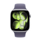 Smartwatch Apple MEVA4QL/A Silver 1,96" 46 mm