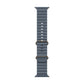 Watch Strap Apple MGCC4ZM/A 49 mm
