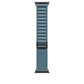 Watch Strap Apple MG9L4ZM/A M 49 mm