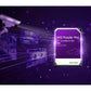 Hard Drive Western Digital WD260PURP 3,5" 24 TB