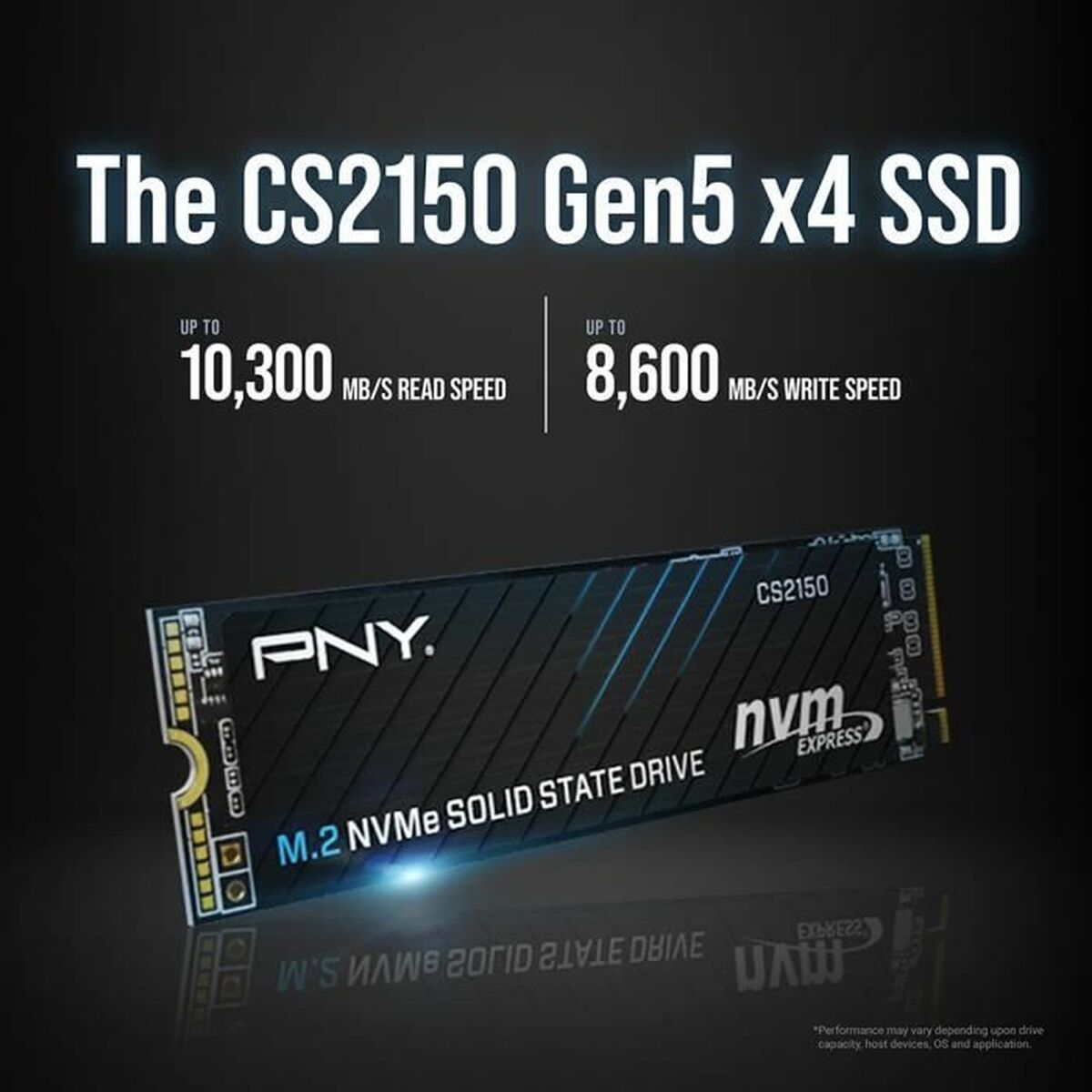 Hard Drive PNY CS2150