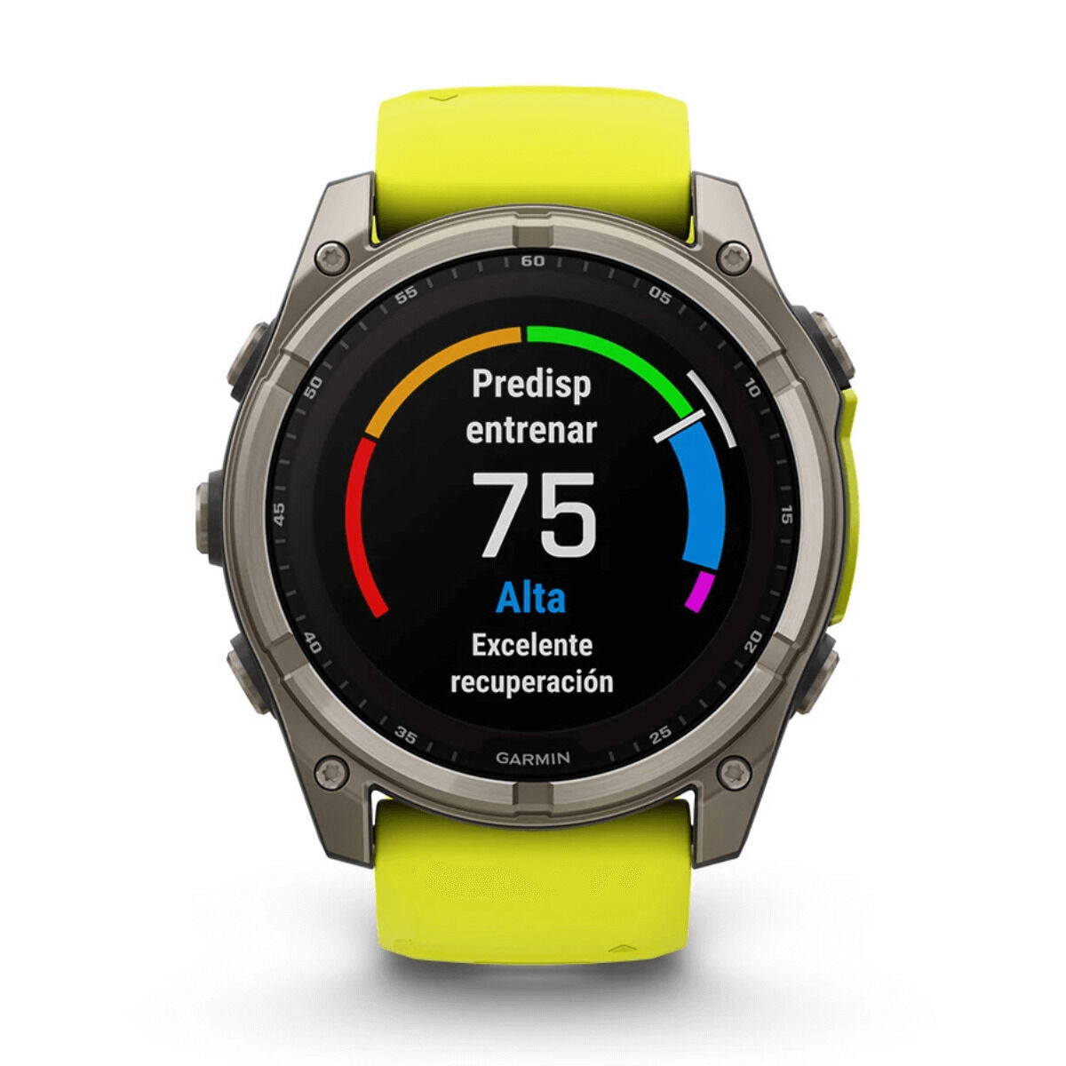 Smartwatch GARMIN 010-02907-21 Titanium 1,4" Ø 50 mm