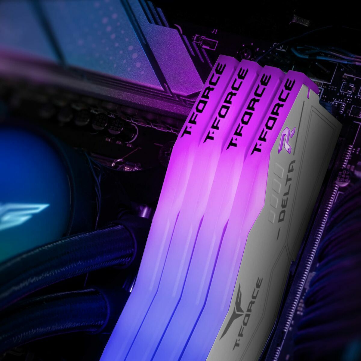 RAM Memory Team Group FF4D564G6000HC38ADC01 64 GB DDR5 SDRAM DDR5 6000 MHz