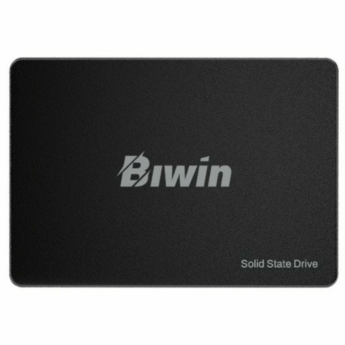 Hard Drive Biwin M100 256 GB SSD