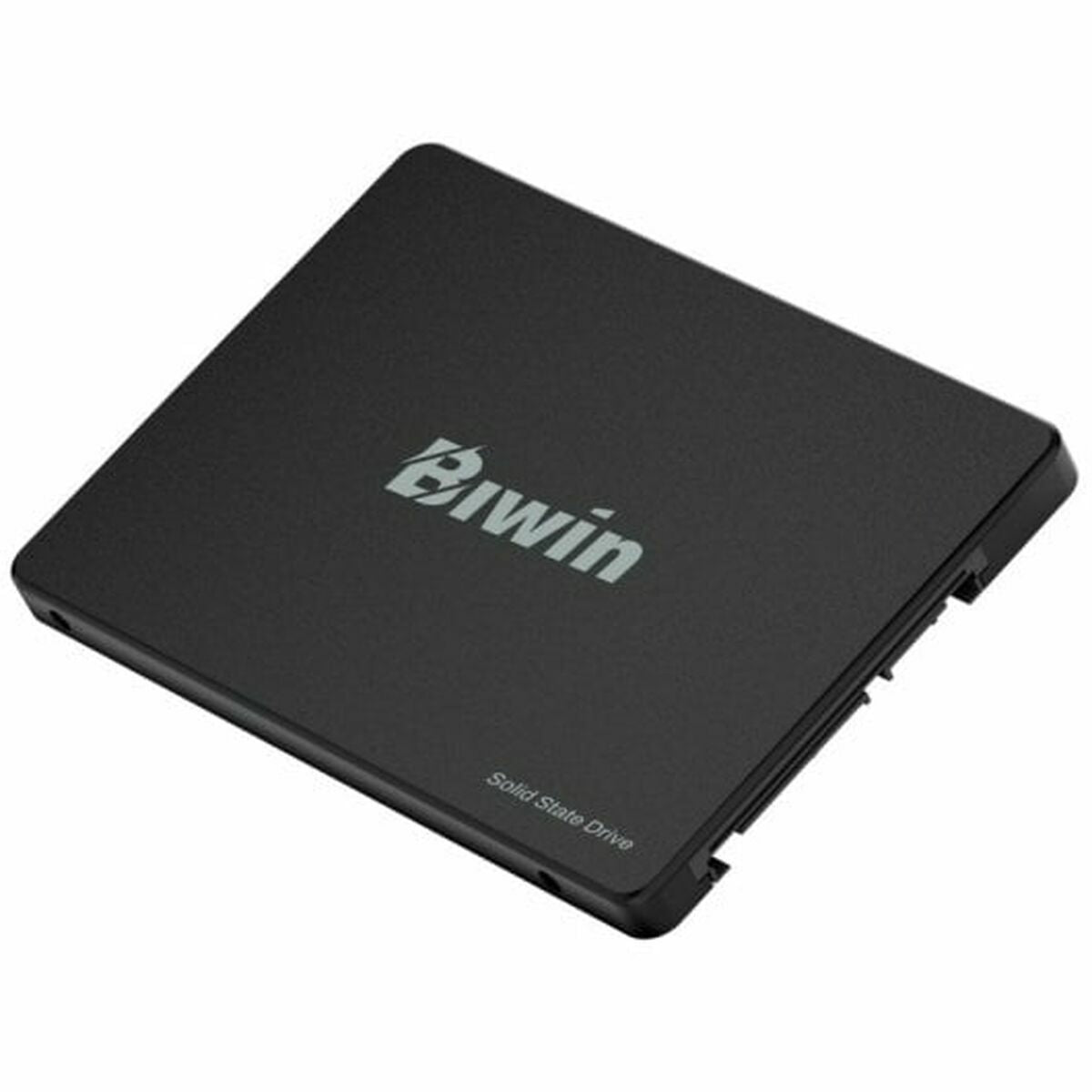 Hard Drive Biwin M100 256 GB SSD