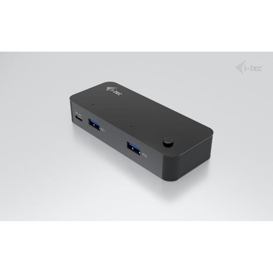 KVM switch i-Tec CAKVMHUB2A2C 1 m
