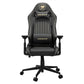 Gaming Chair Cougar Explore Royal Black