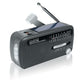 Radio Muse MH-07DS/HYBRID Black
