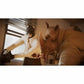 PlayStation 5 Video Game Microids Blacksad: Under the skin