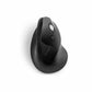 Wireless Mouse Kensington Pro Fit Black 1600 dpi