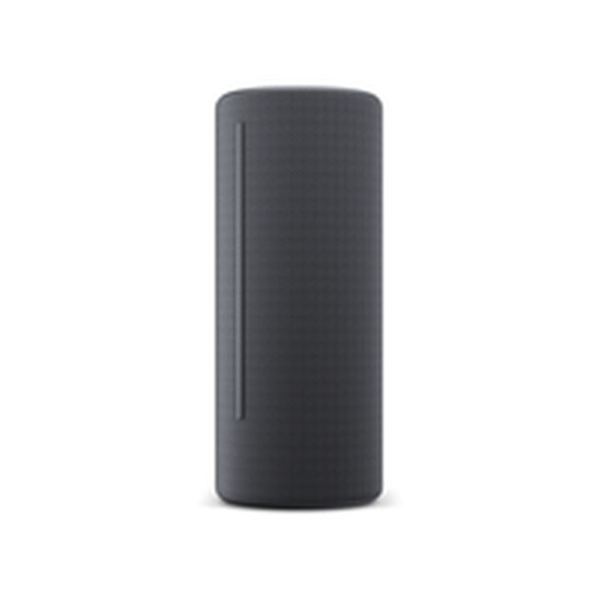 Bluetooth Speakers Loewe Grey