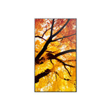 Videowall Monitor Sharp 60006053 4K Ultra HD 42,5"