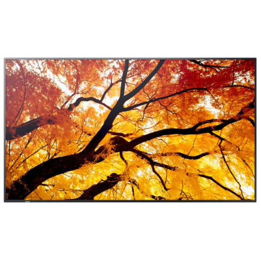 Videowall Monitor Sharp 60006057 4K Ultra HD 74,5"