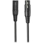 Dynamic microphone Audio-Technica Iberia ATR-2100X-USB