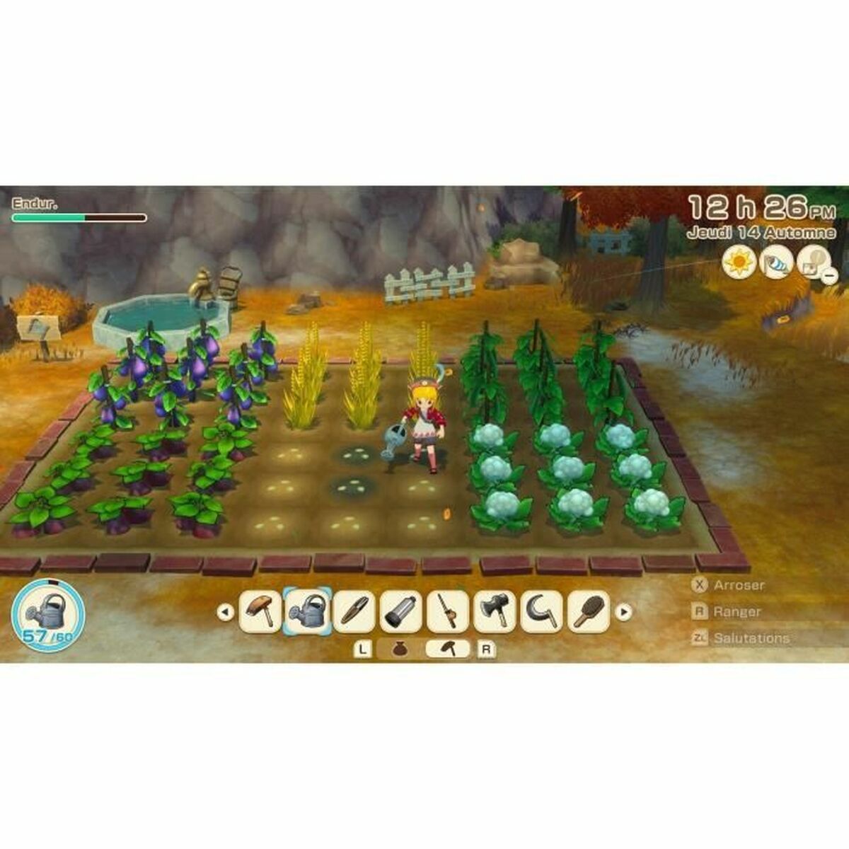 Video game for Switch Just For Games Story of Seasons Grand Bazaar