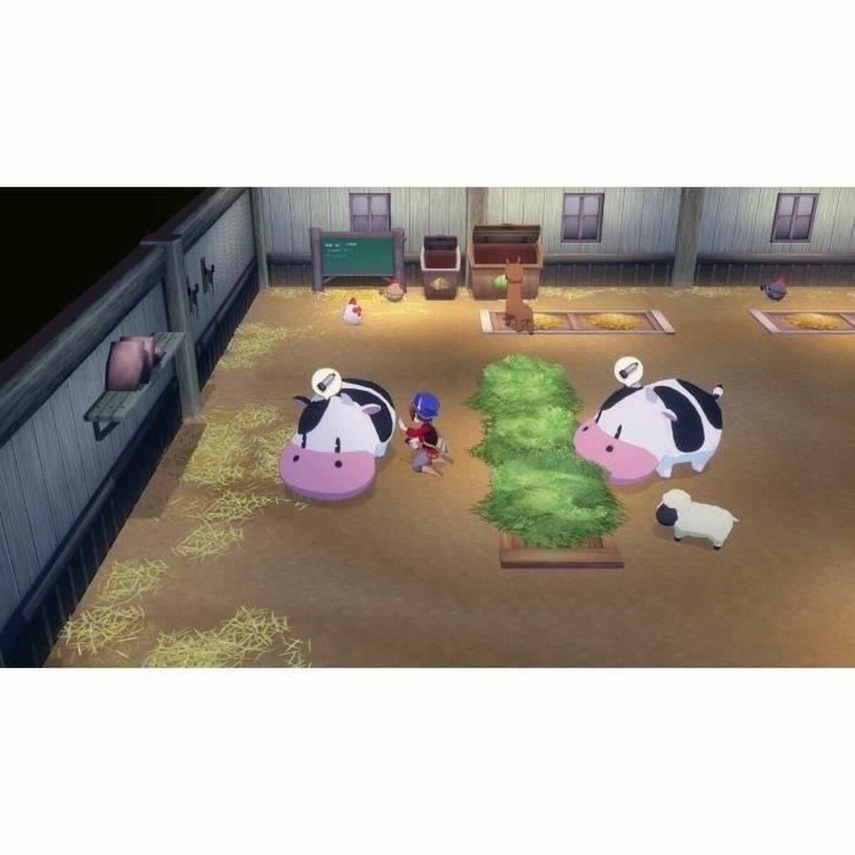 Video game for Switch Just For Games Story of Seasons Grand Bazaar : Limited Edition