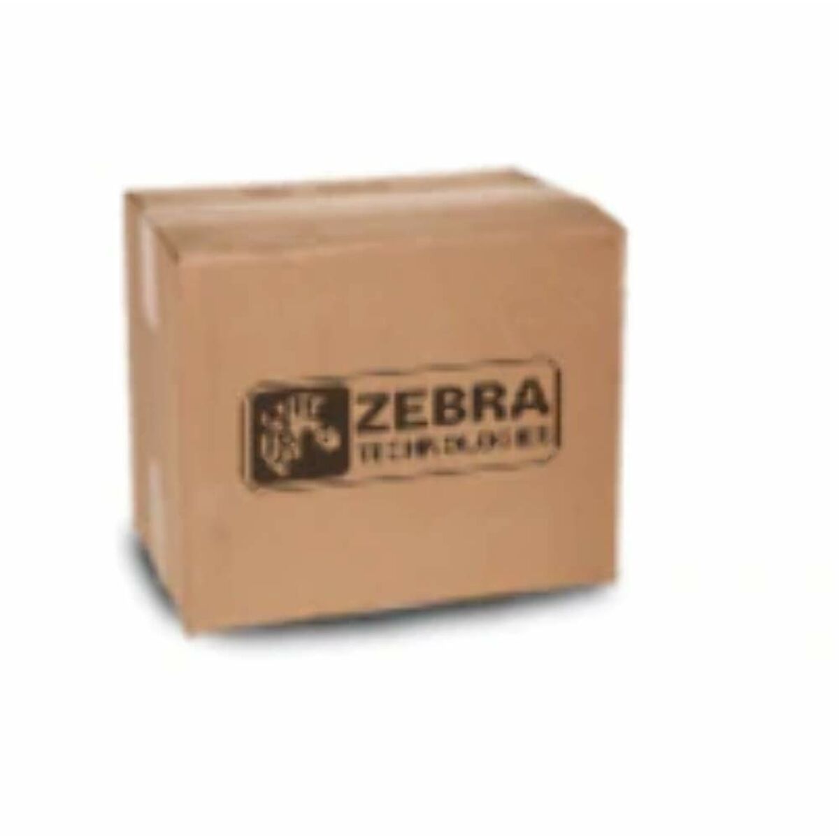 Replacement Head Zebra P1058930-009