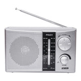 Radio ELBE PR451