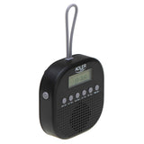 Radio Adler ad 1912 Black