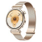 Smartwatch Huawei Watch GT 6 Konsu-B19M Golden 1,32"