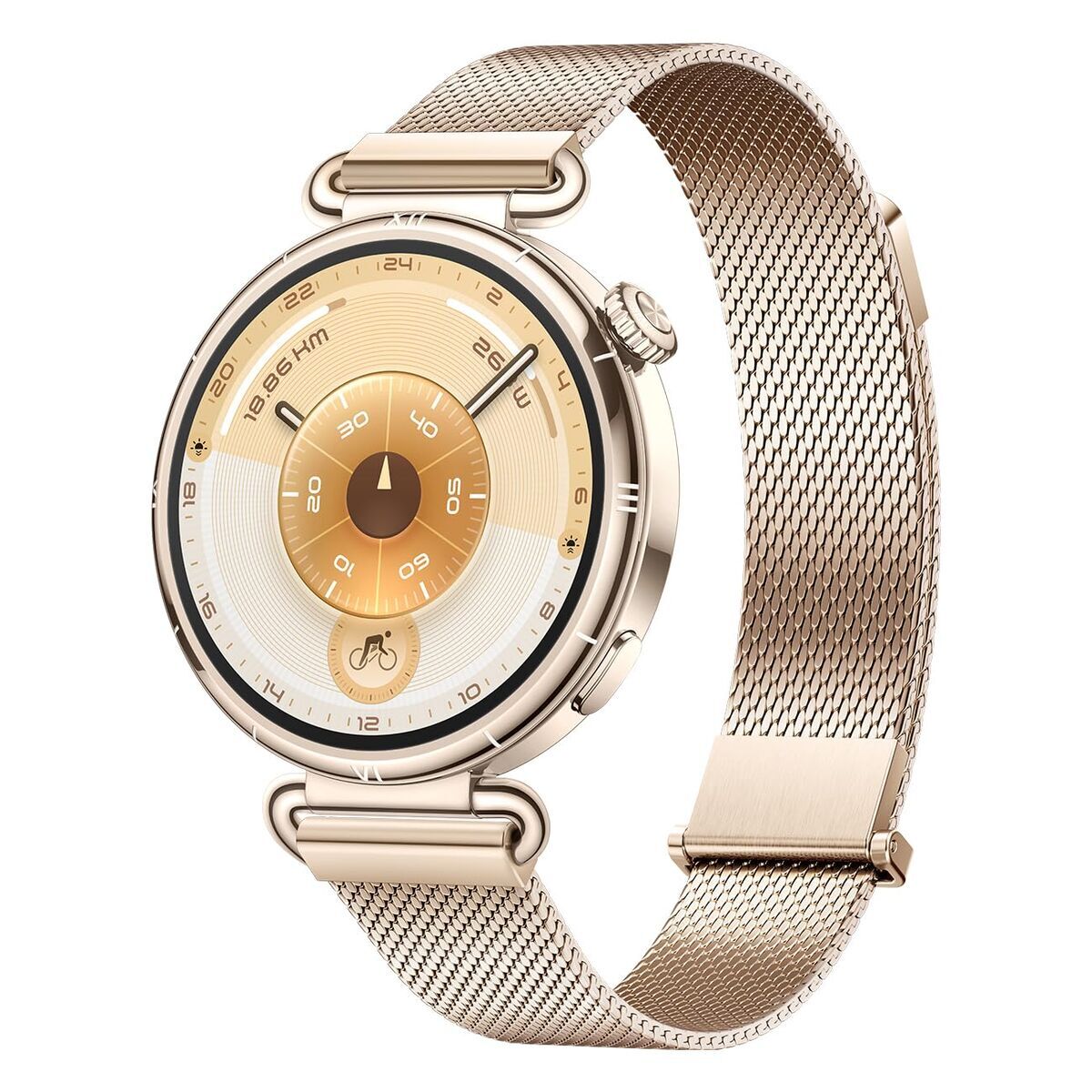 Smartwatch Huawei Watch GT 6 Konsu-B19M Golden 1,32"