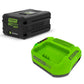 Mouse Greenworks 2933807 Black