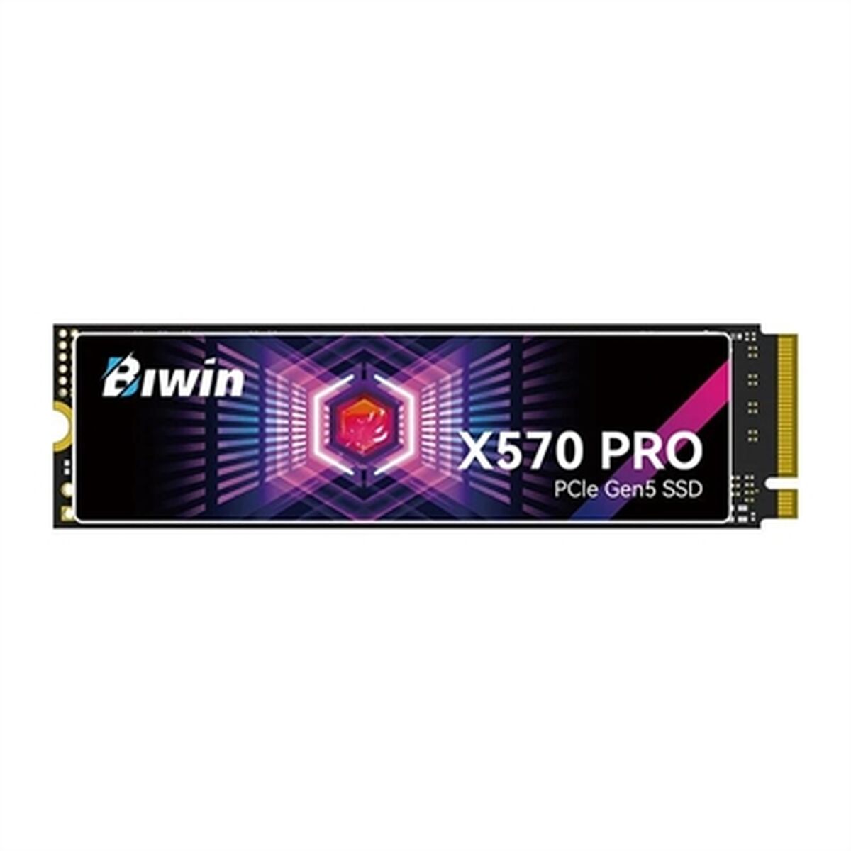 Hard Drive Biwin X570 Pro 4 TB SSD